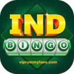 IND BINGO APK