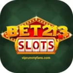 BET 213 slots