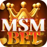 msm bet apk